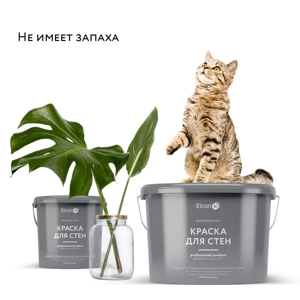 Визуальное руководство по: моющаяся краска для стен