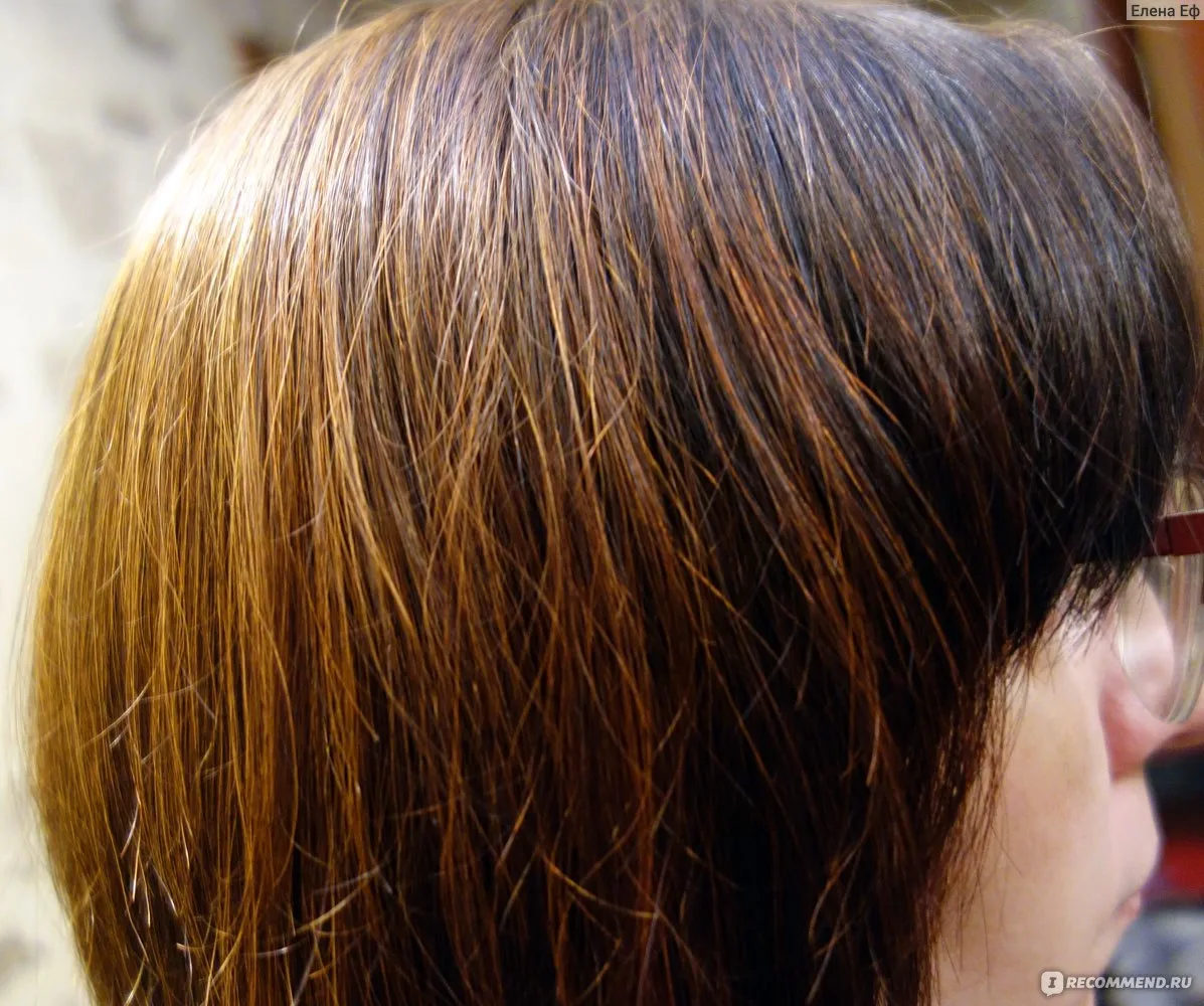 Актуальные новости: окрашивание волос хной