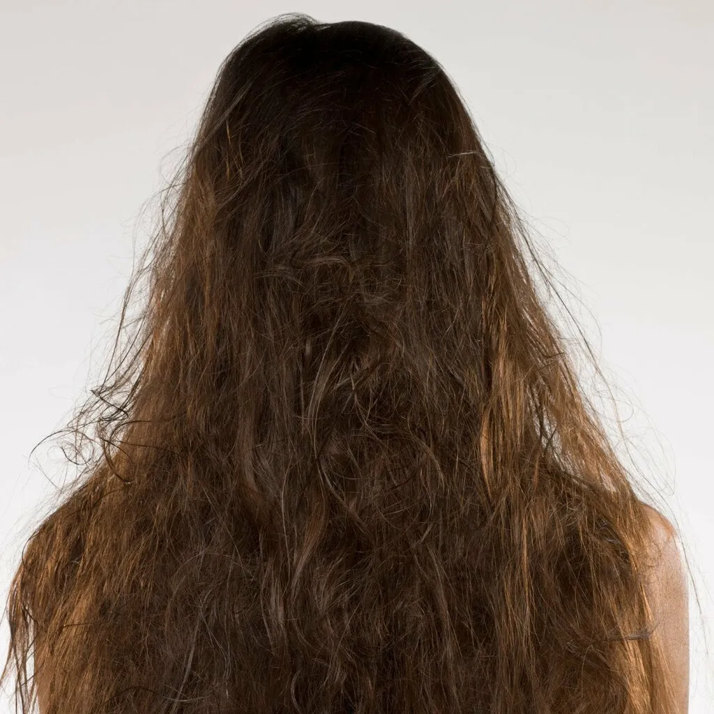 | Салон красоты | pochemu kudryavye volosy