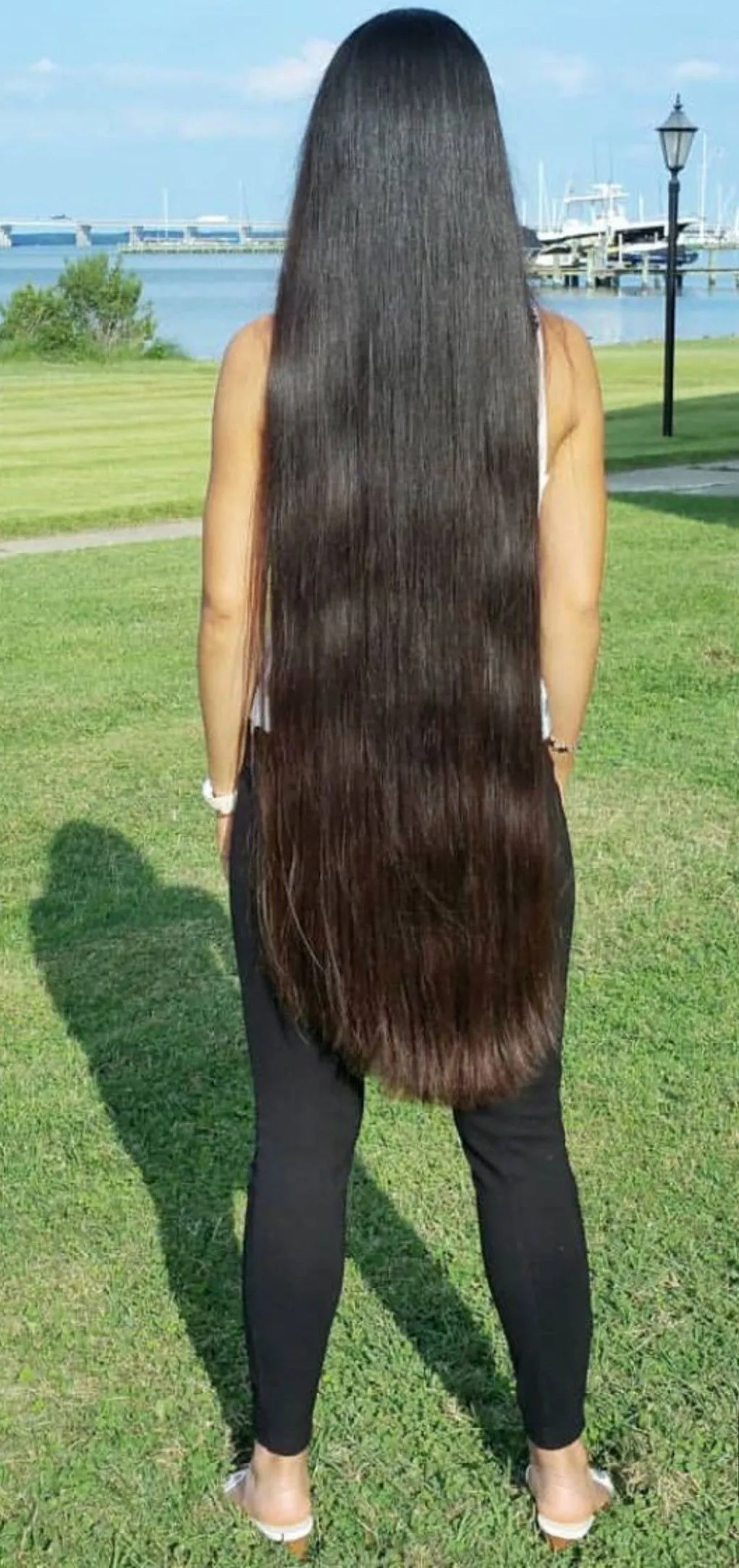 Образовательный материал - Почему волосы прямые: причины, структура и факторы Визуальное объяснение: почему волосы прямые