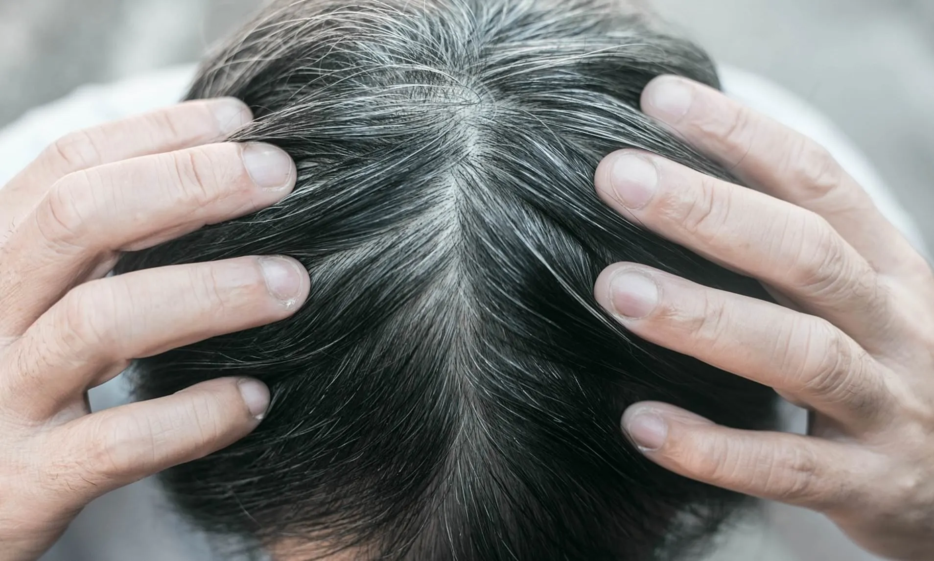 Обзор и сравнение - Седые пряди волос: причины появления, уход и маскировка | Объективный гид Сравнительный анализ: причины седых волос