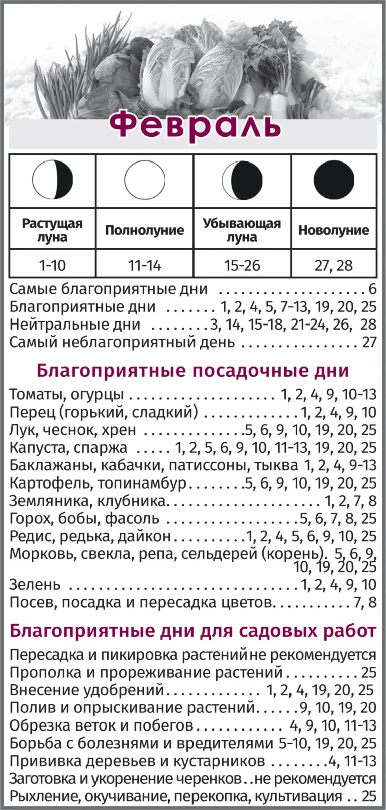Лунный календарь и уход за волосами — Растущая луна для стрижки волос