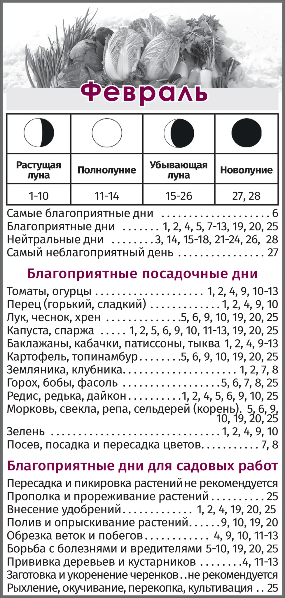 | Салон красоты | rastuschaya luna dlya strizhki volos