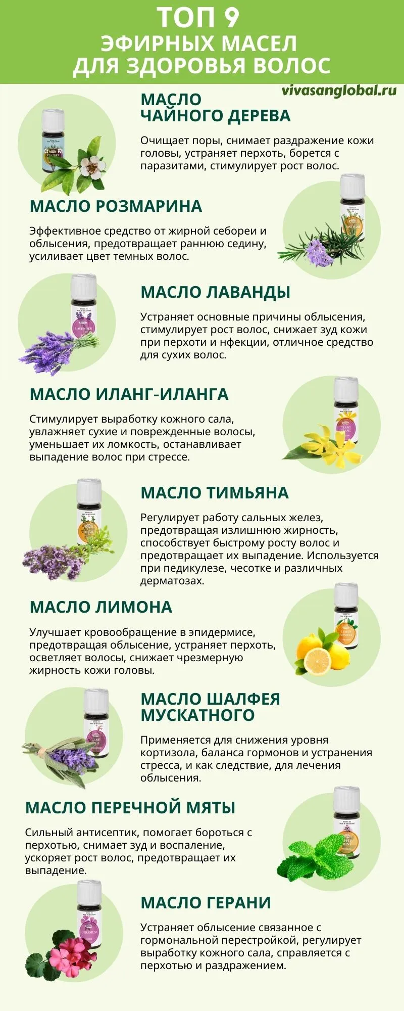 Актуальные новости: рецепты масел для волос