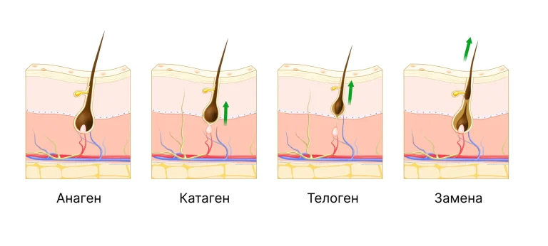 Уход и здоровье