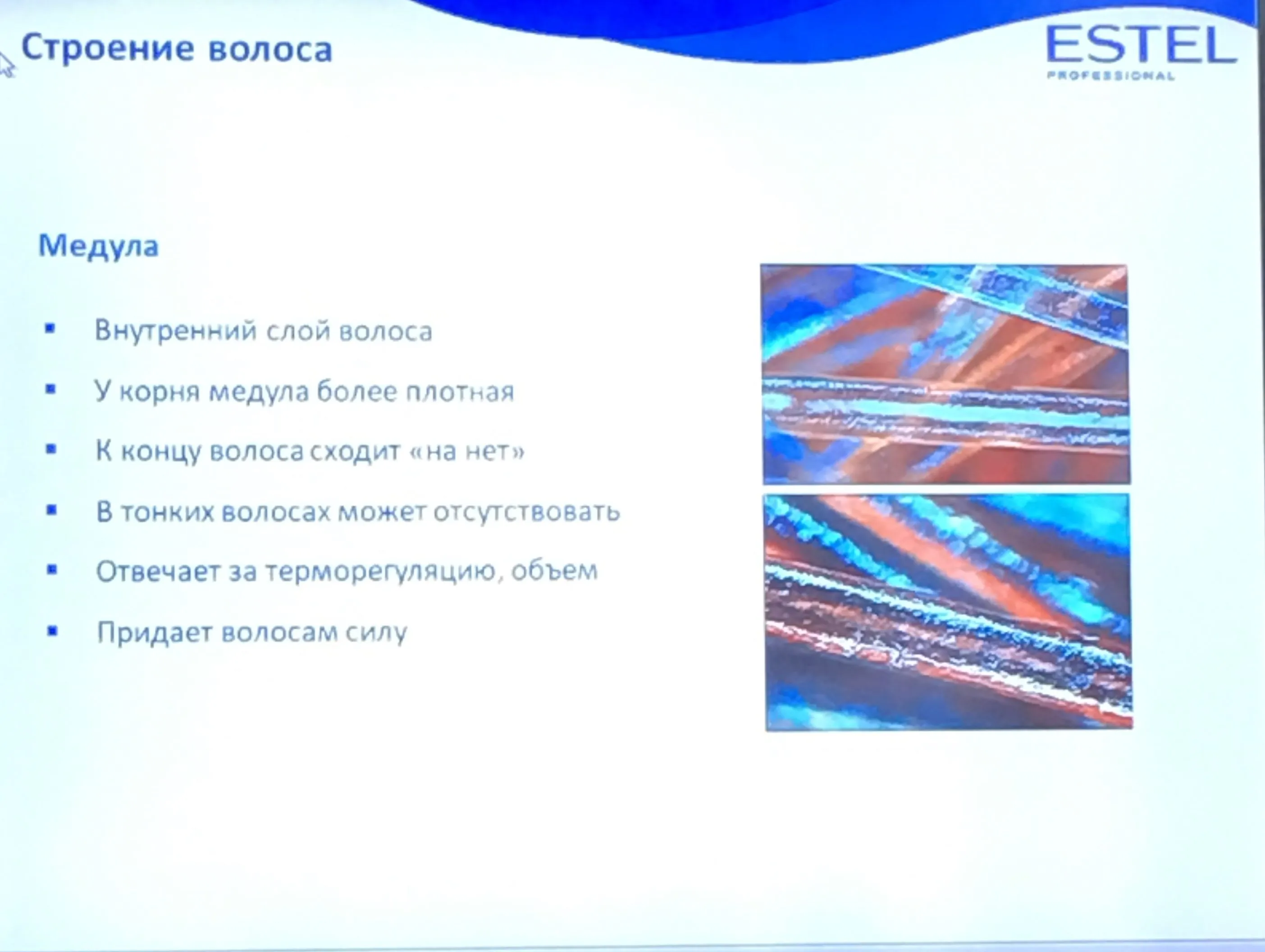 Визуальное объяснение: слои волоса