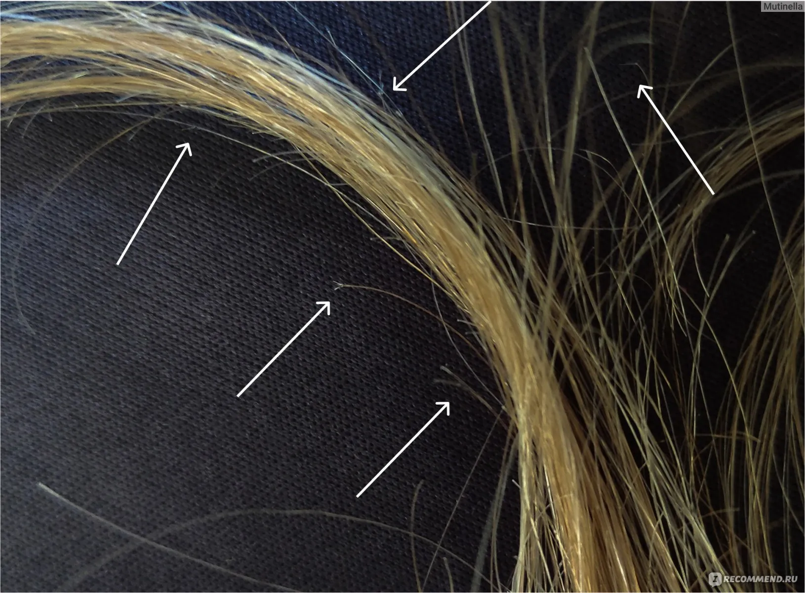 Актуальные новости: стрижка горячими ножницами