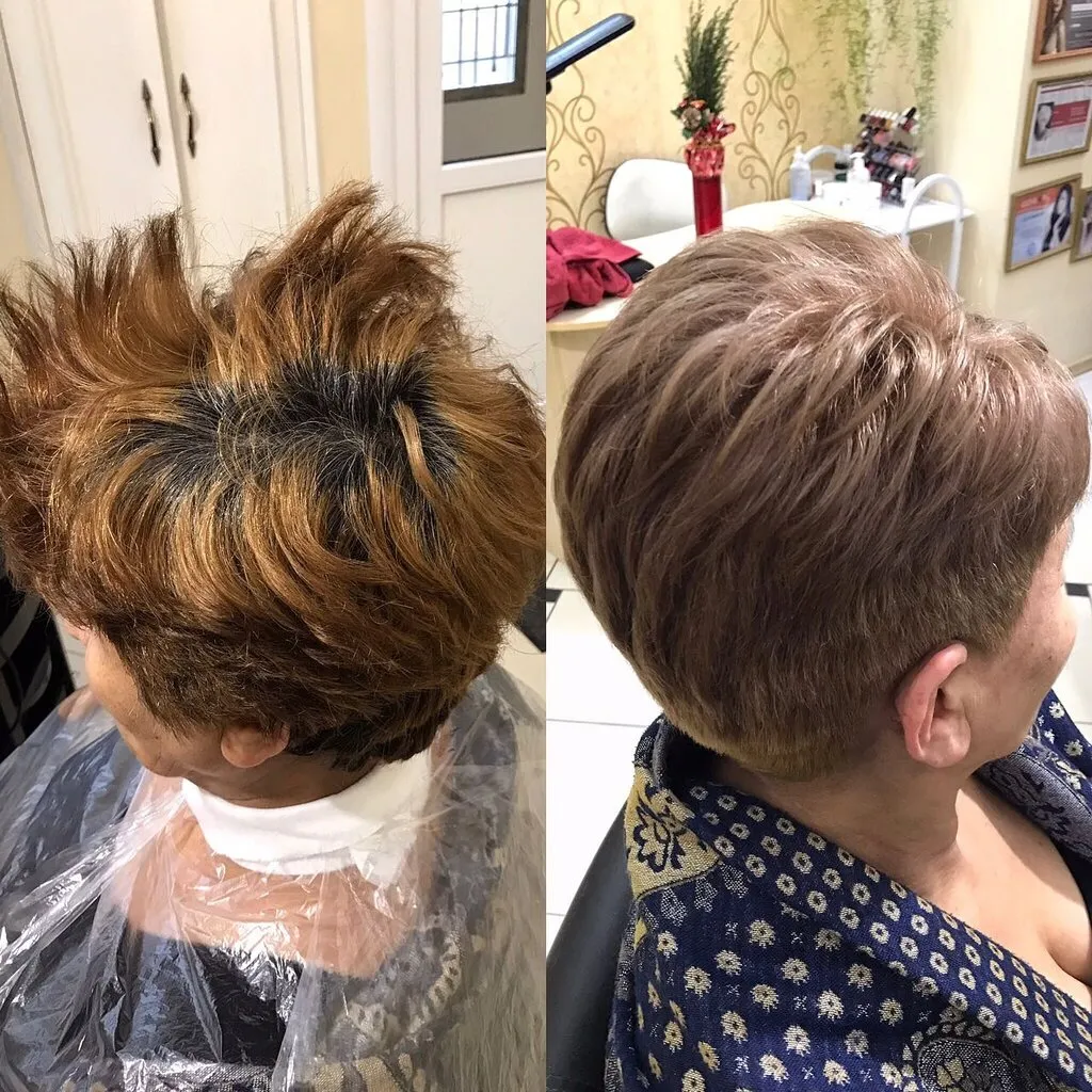 Актуальные новости: стрижка на дому