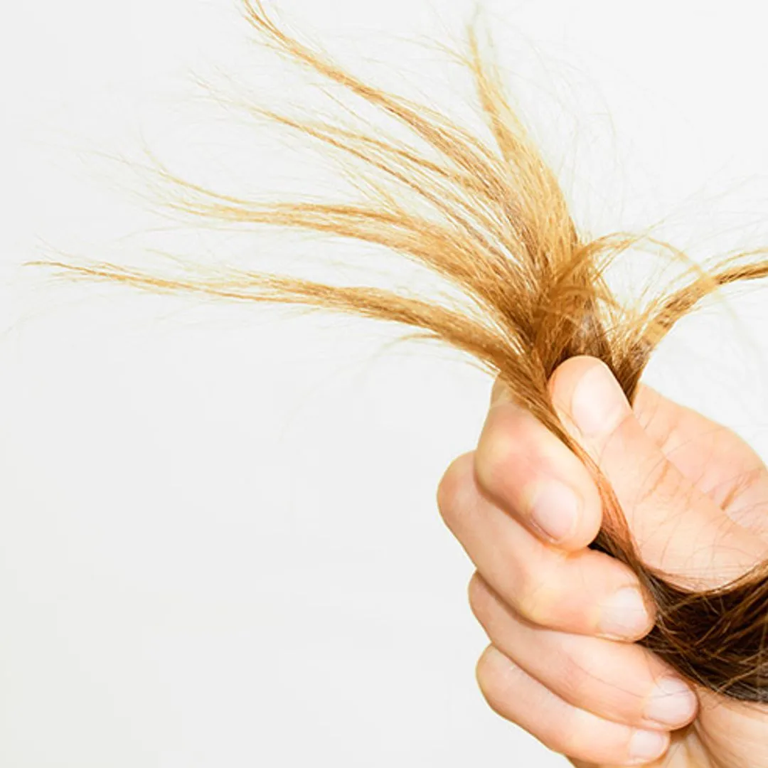 Визуальное объяснение: сухие и ломкие волосы
