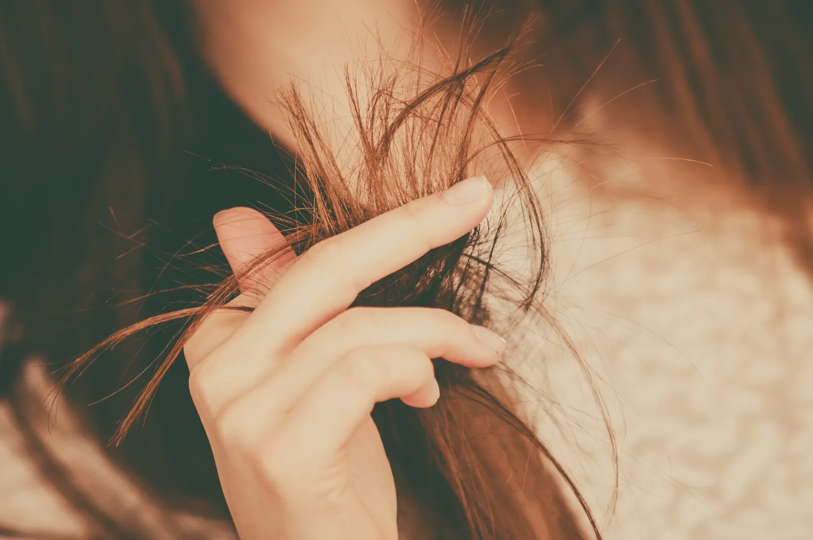 Актуальные новости: сухие волосы кончики