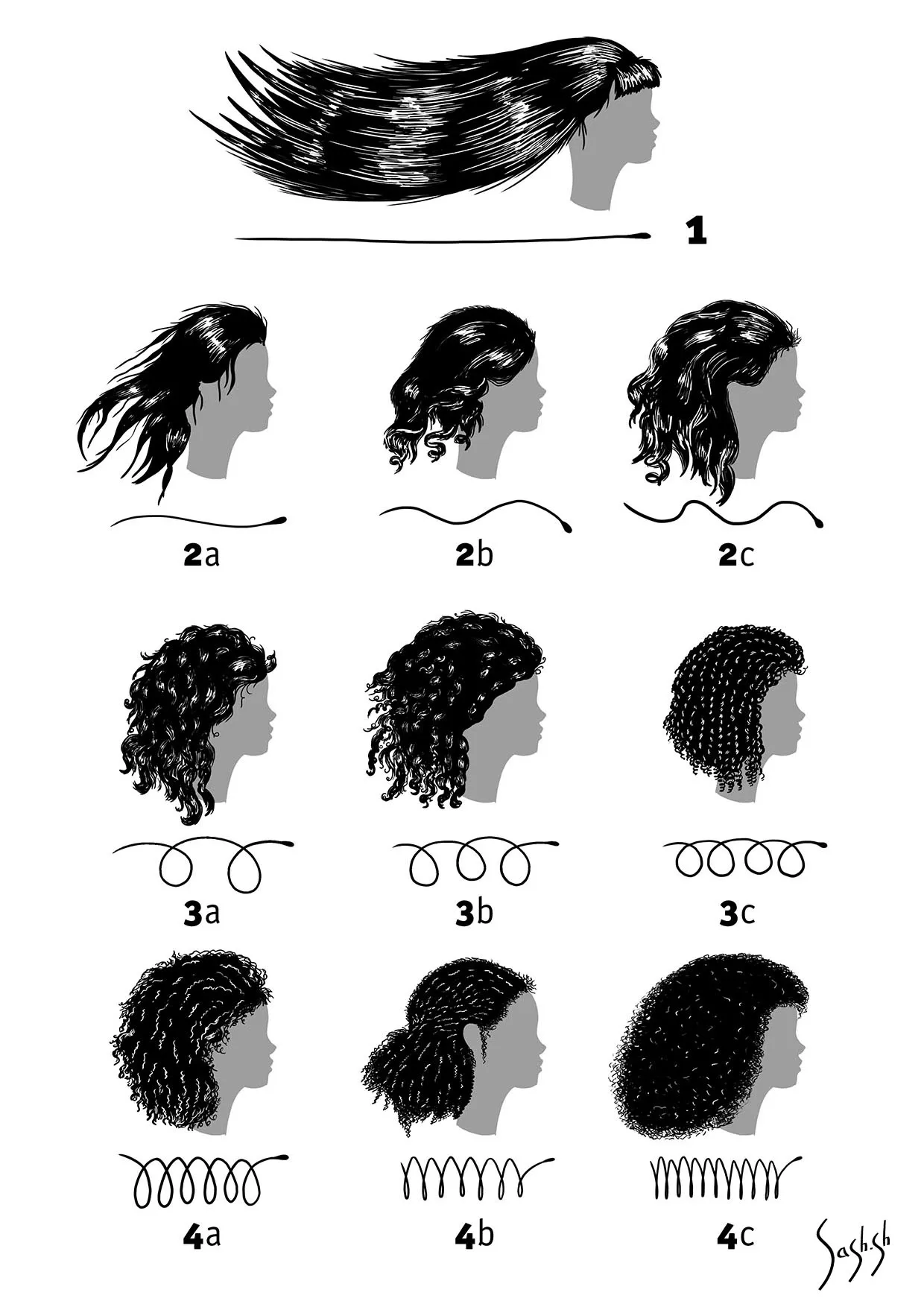 Образовательный материал - Почему волосы прямые: причины, структура и факторы Визуальное объяснение: типы волос прямые