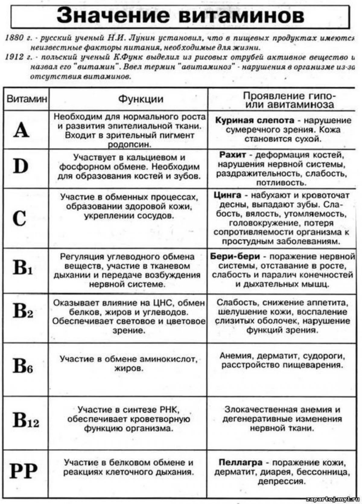 Схематичное изображение витаминов A, C, E и их влияние на слои кожи: увлажнение, синтез коллагена и защита от UV-лучей