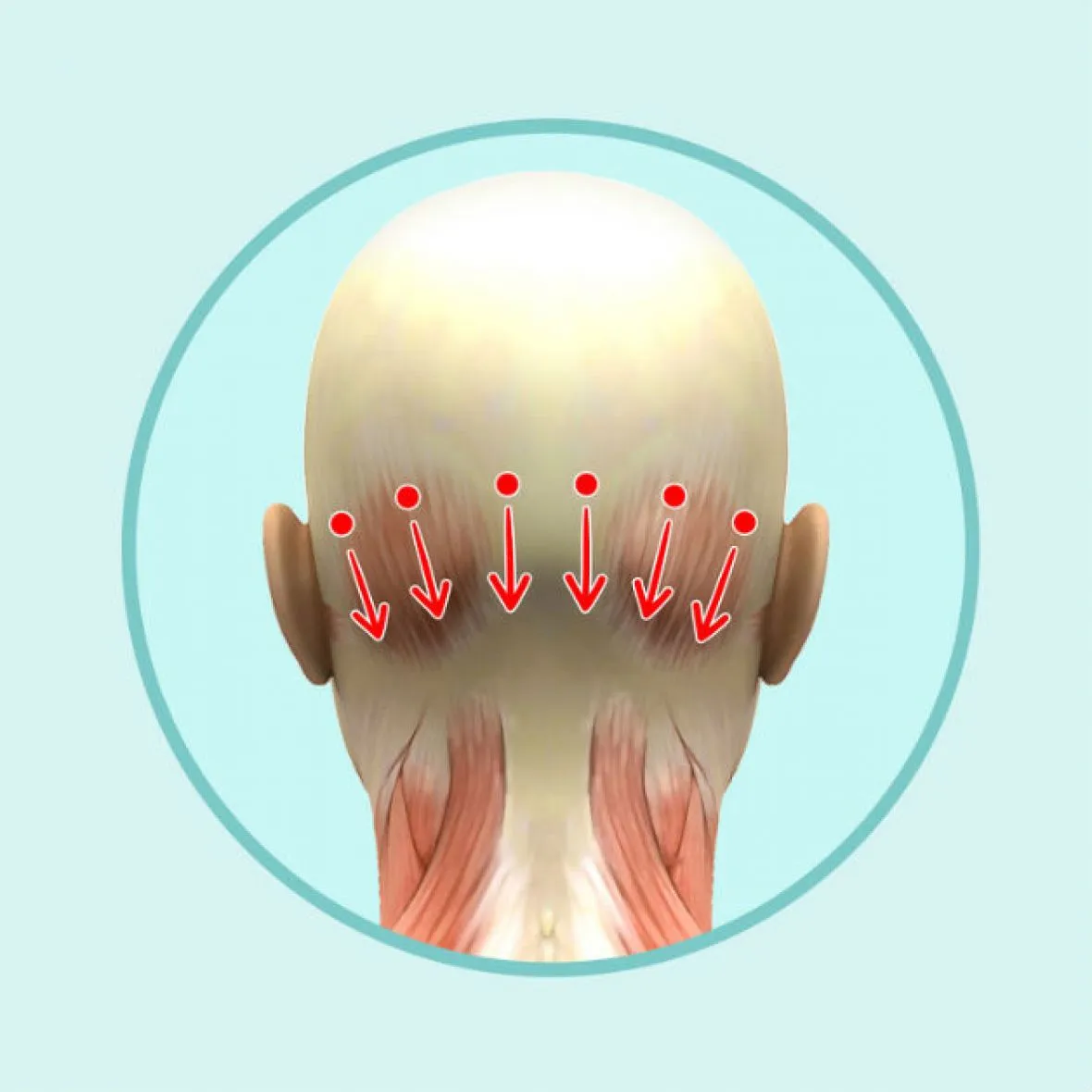 Актуальные новости: рост волос массаж