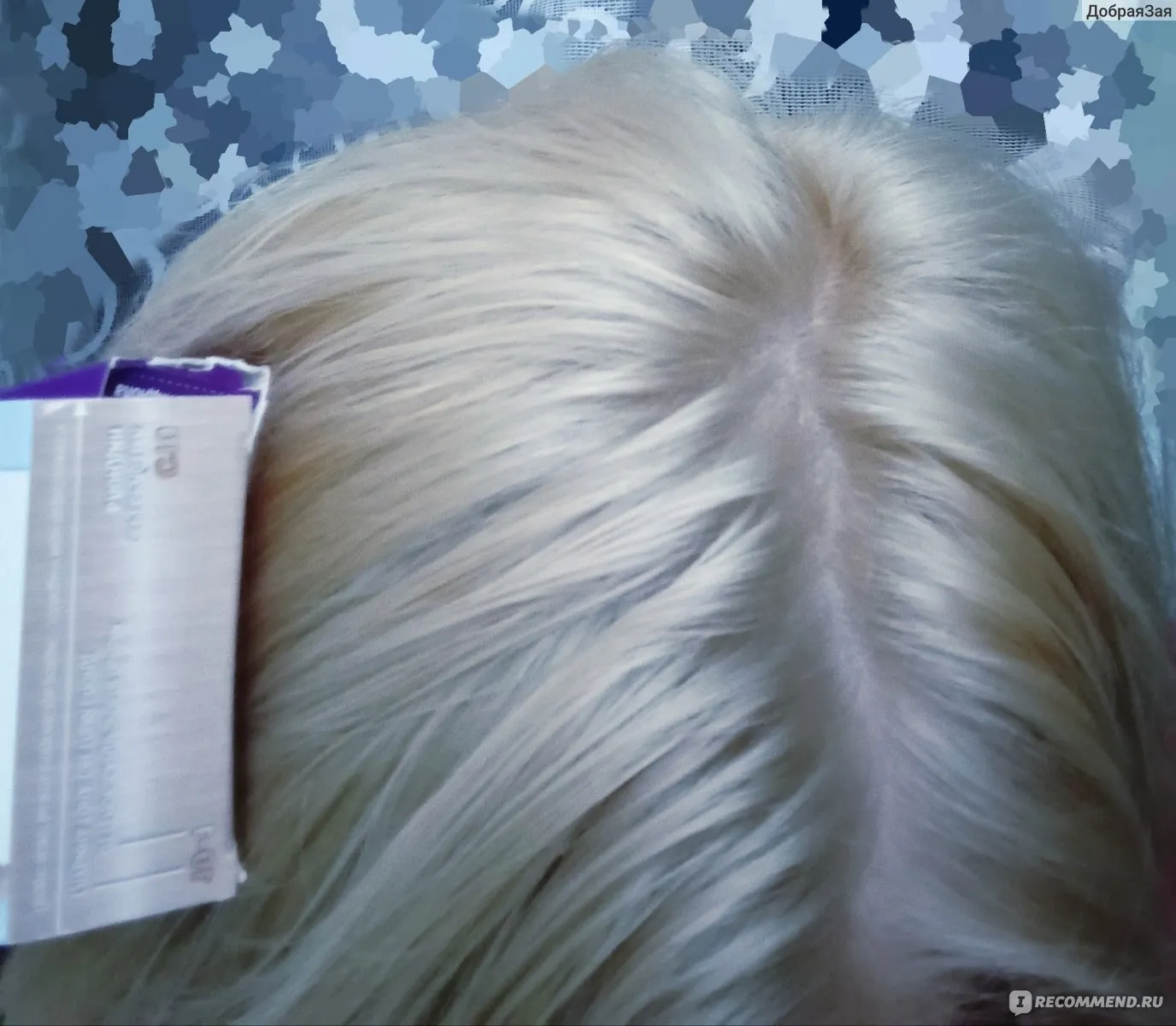 Актуальные новости: тонирование блонда