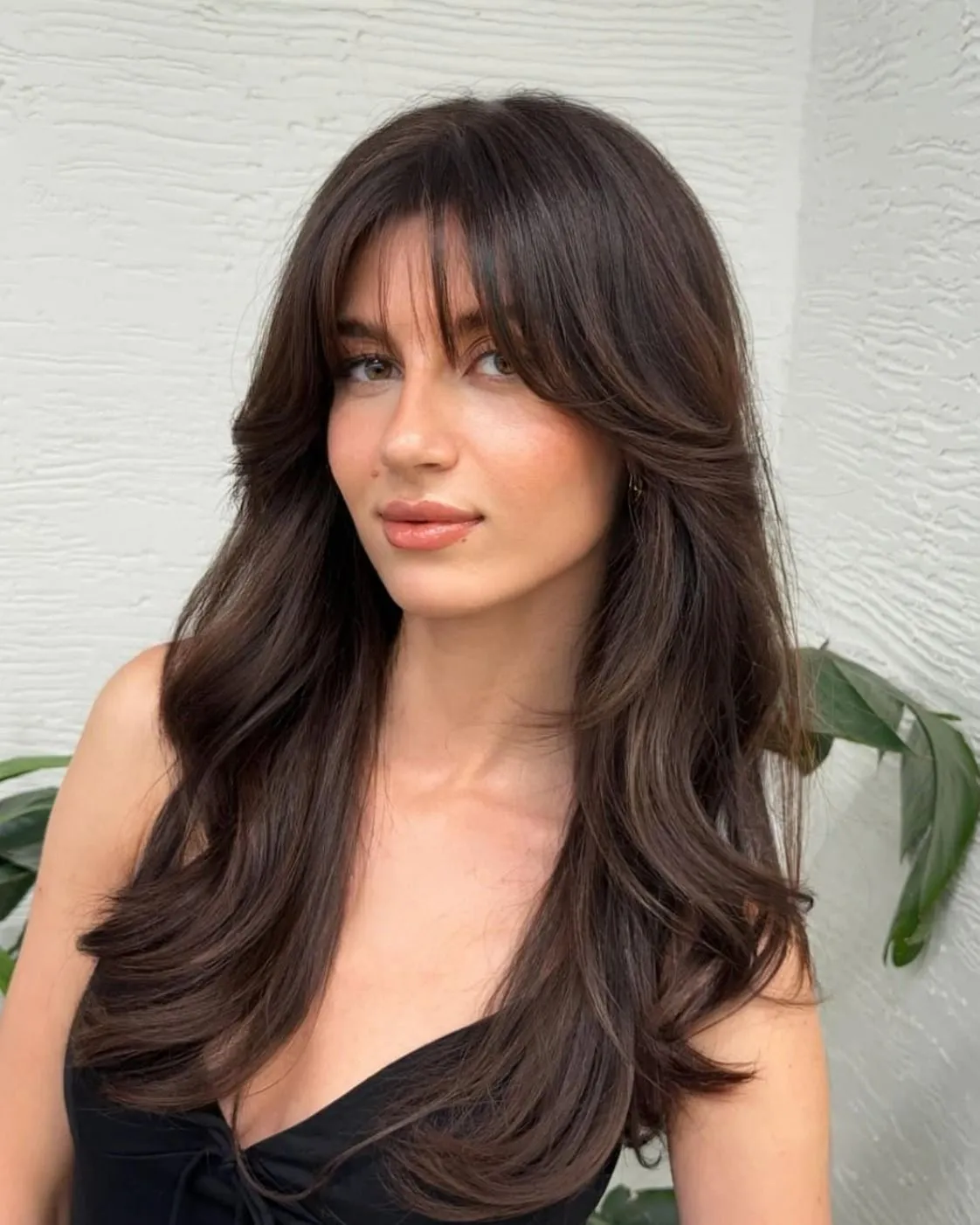 Визуальное объяснение: виды челок