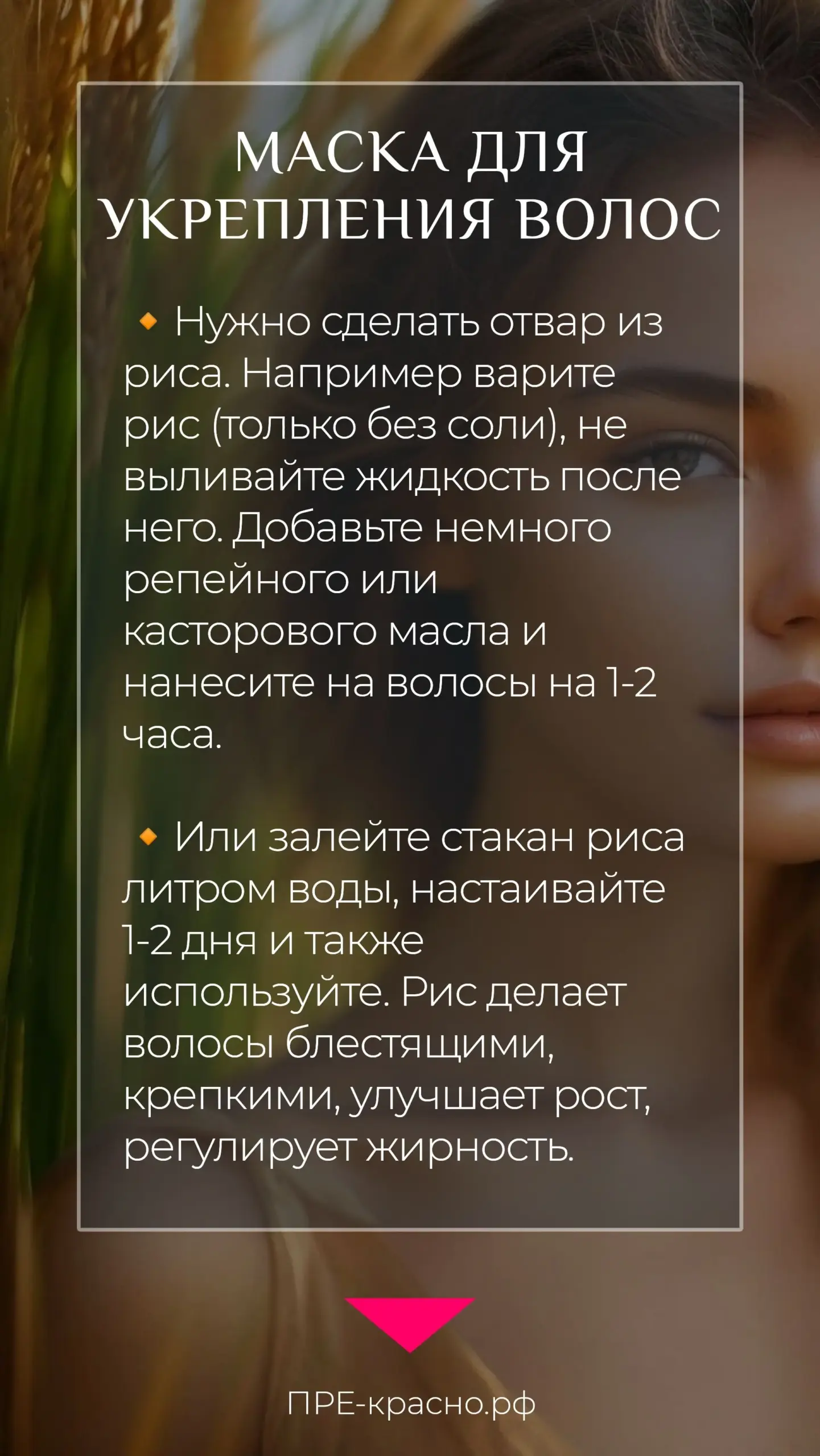Натуральные ингредиенты для приготовления домашних масок для волос Натуральные домашние средства для укрепления волос: масла, травы и яйца на деревянном столе