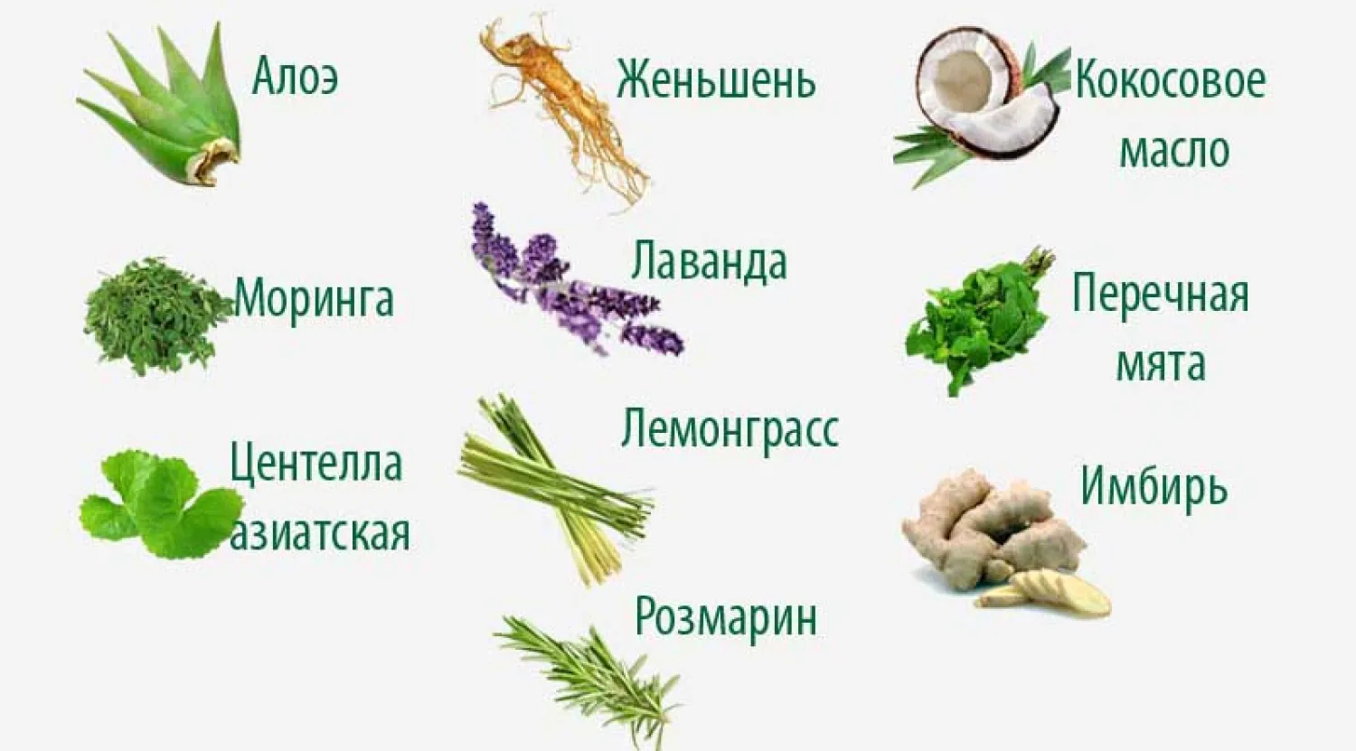 Визуальное руководство по: домашние средства против выпадения волос. Техника нанесения маски на кожу головы по проборам, утепление полотенцем.