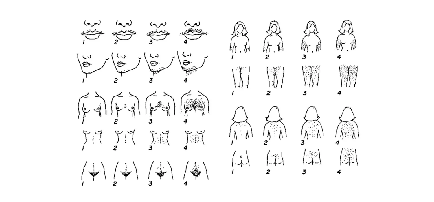 Визуальное объяснение: Как растут волосы