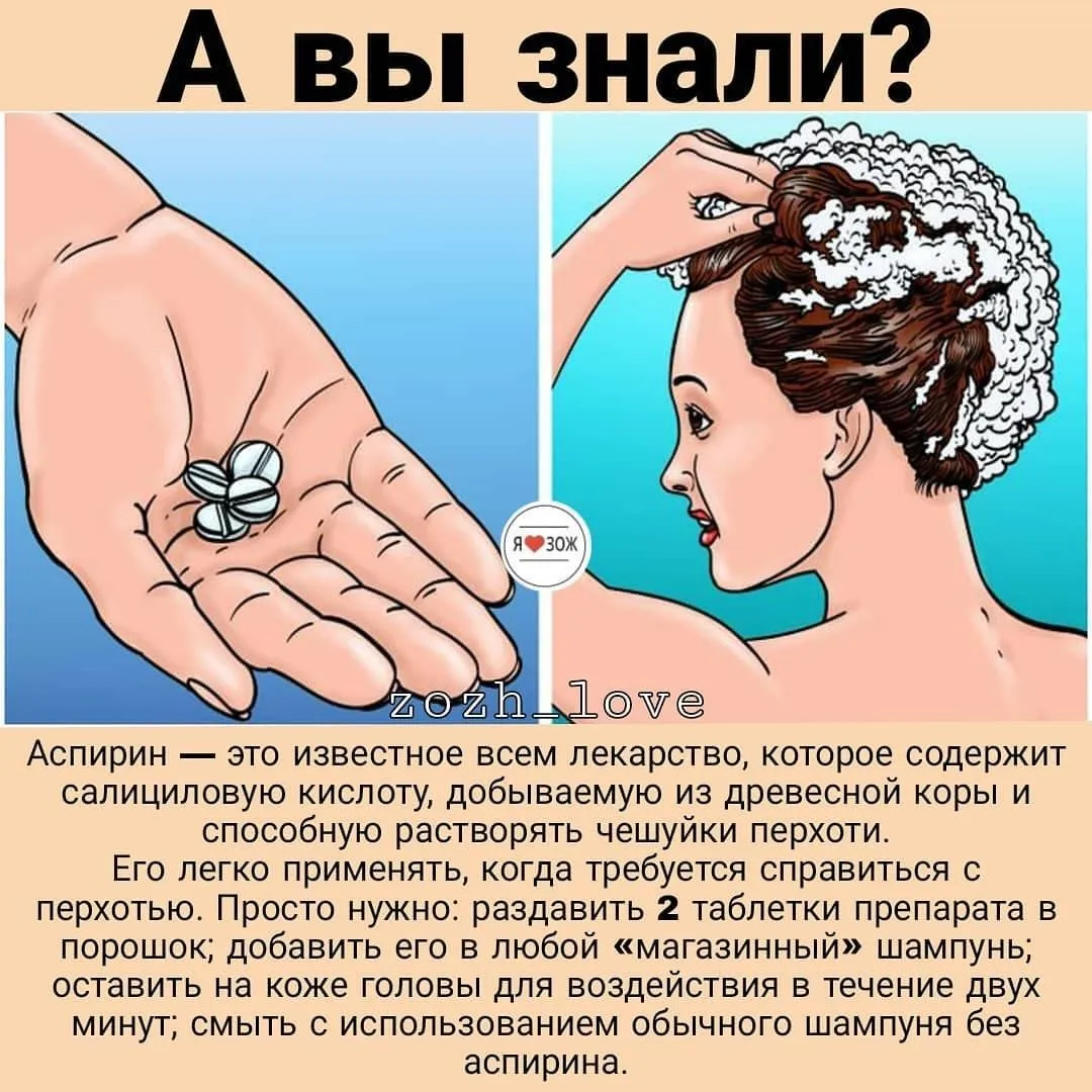 Схематичное изображение кожи головы и сальной железы при проблеме жирных волос, методы лечения и ухода