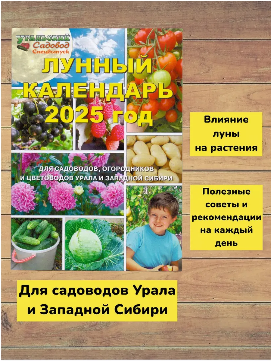 Практическое руководство - Когда стричь волосы по луне: благоприятные дни для стрижки и ухода Визуальное руководство по: лунный календарь бесплатно