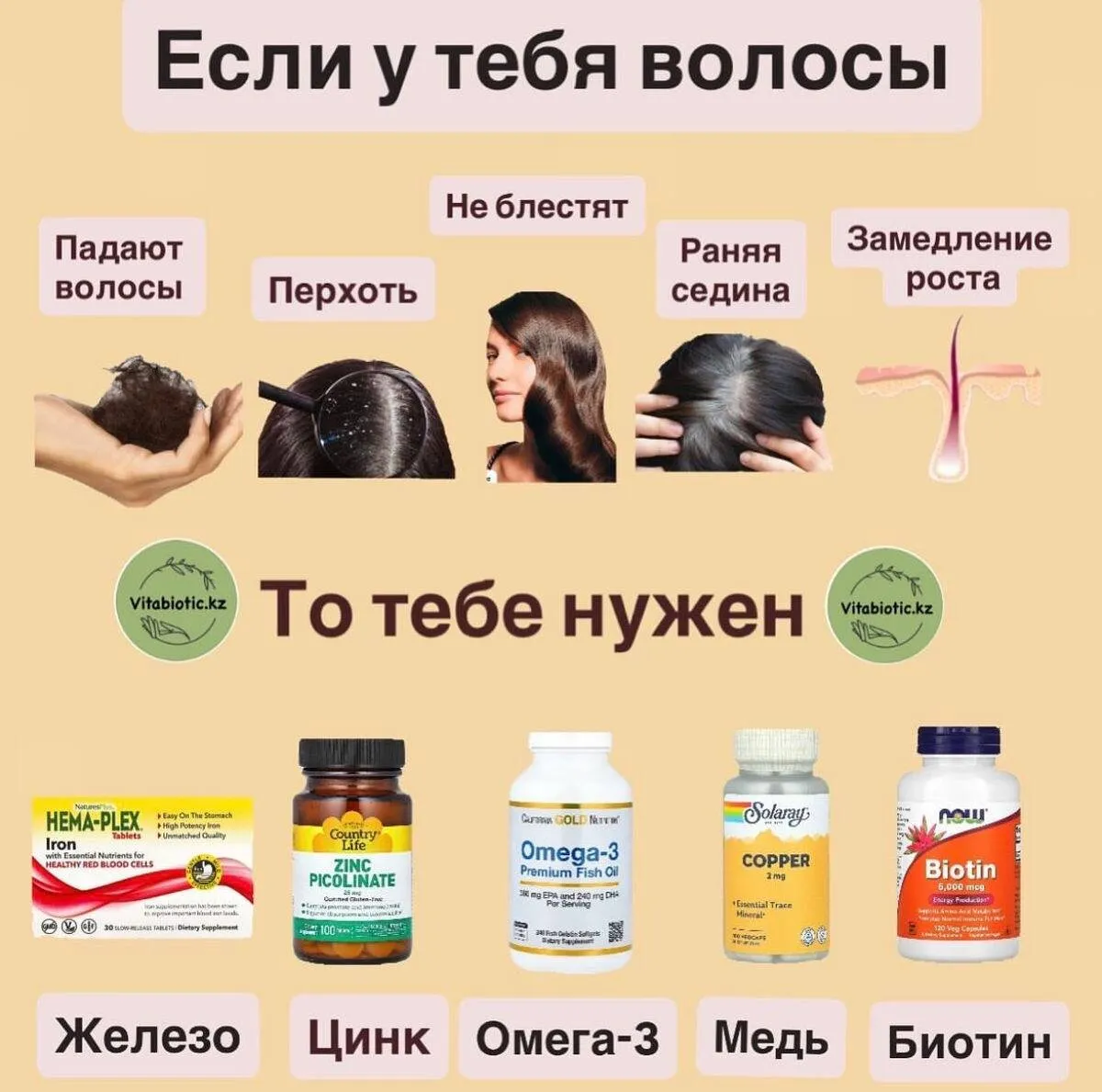 Визуальное руководство по: питание при выпадении волос