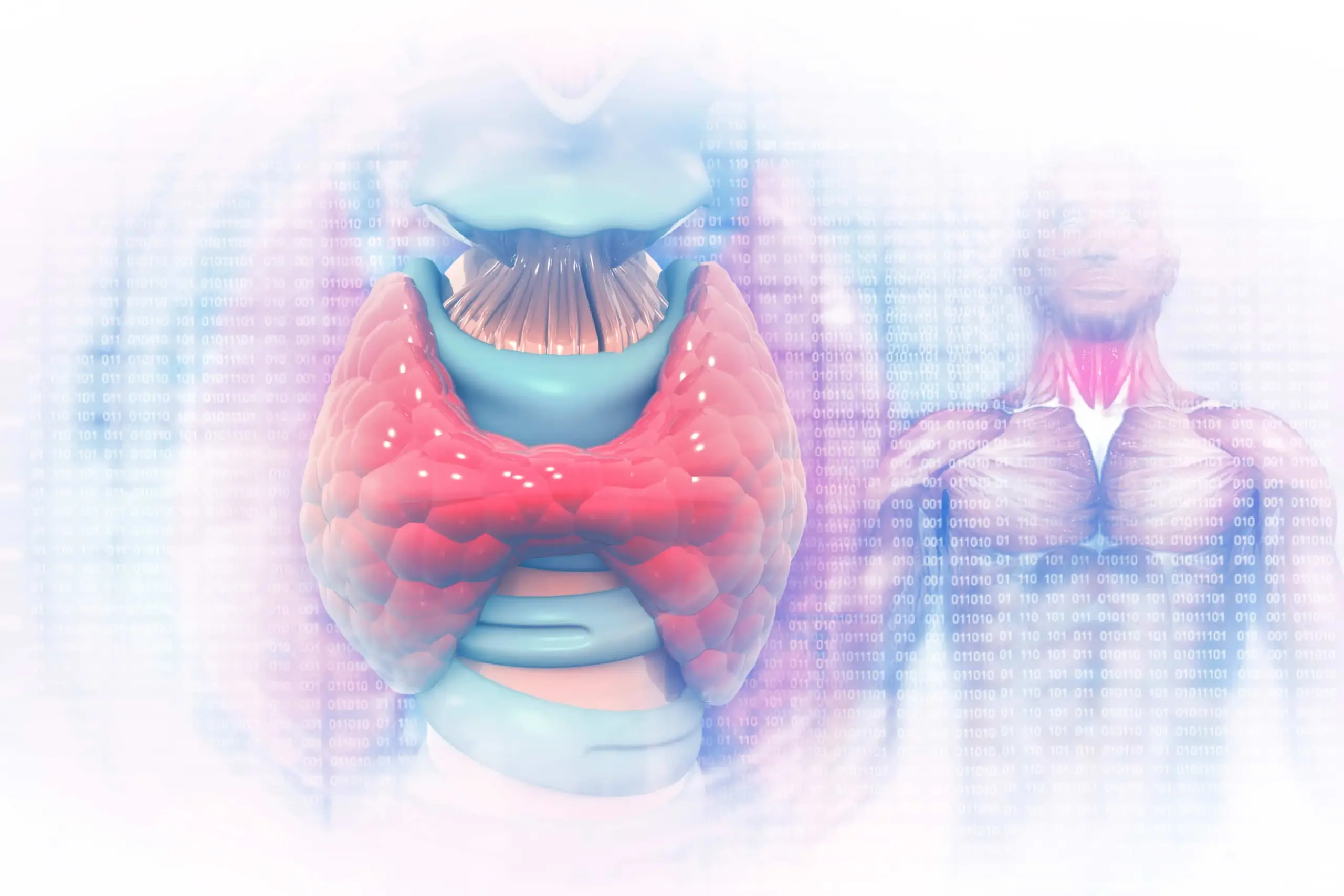 Актуальные новости: щитовидная железа