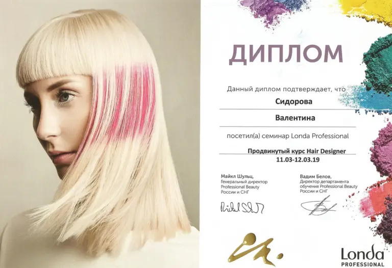 Образование и карьера