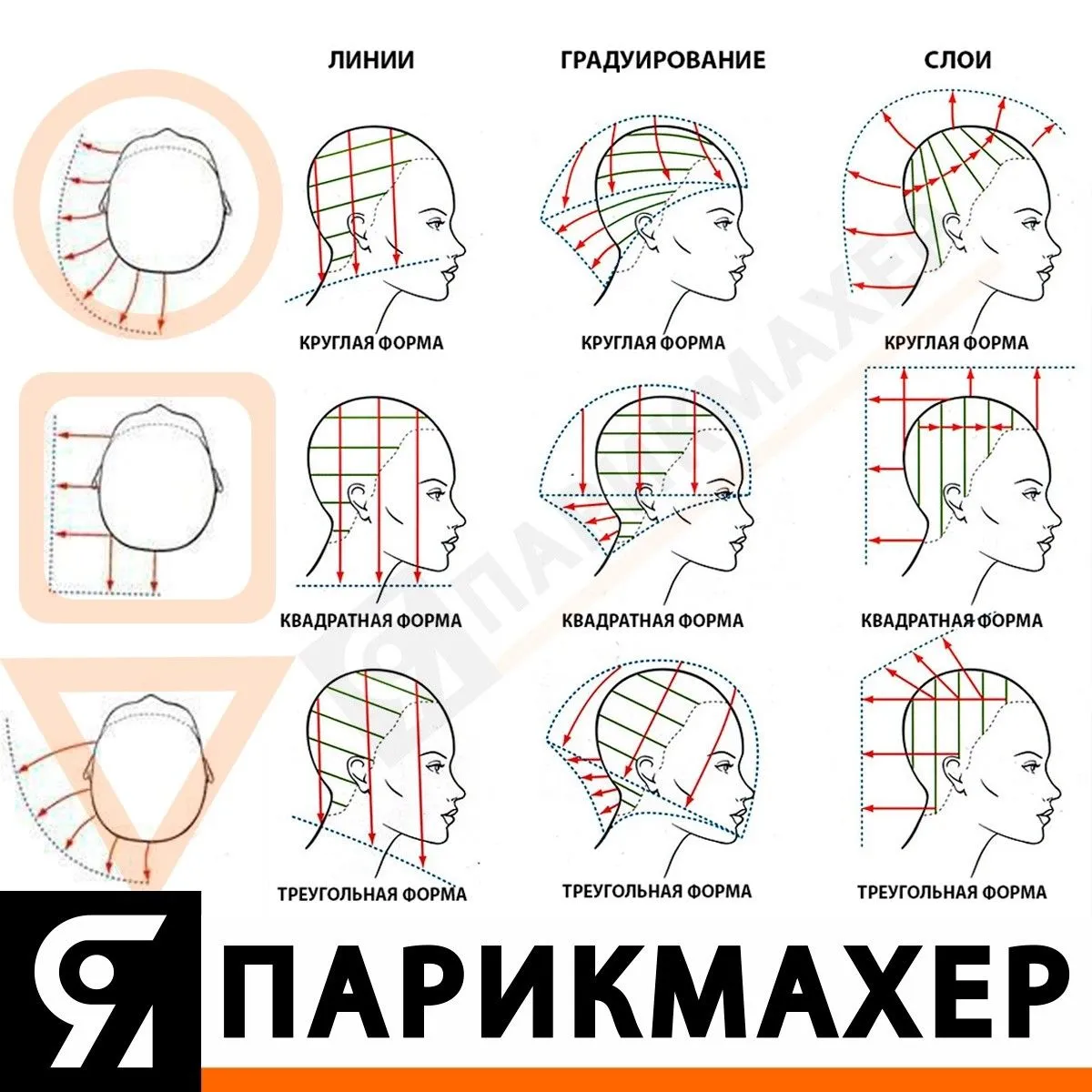 Наглядная демонстрация базовых техник стрижки для начинающих: тушевка, срез прядь на прядь и градуировка на манекене-тренажере