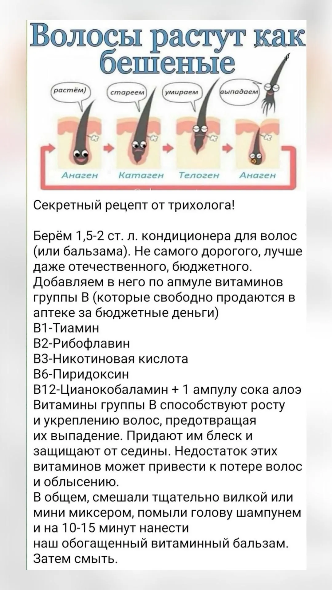 Актуальные новости: восстановление густоты волос
