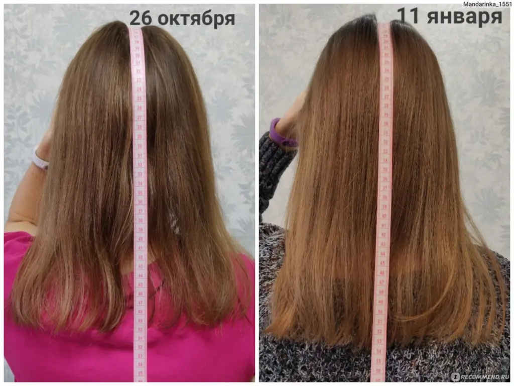 Блог Здоровье и питание