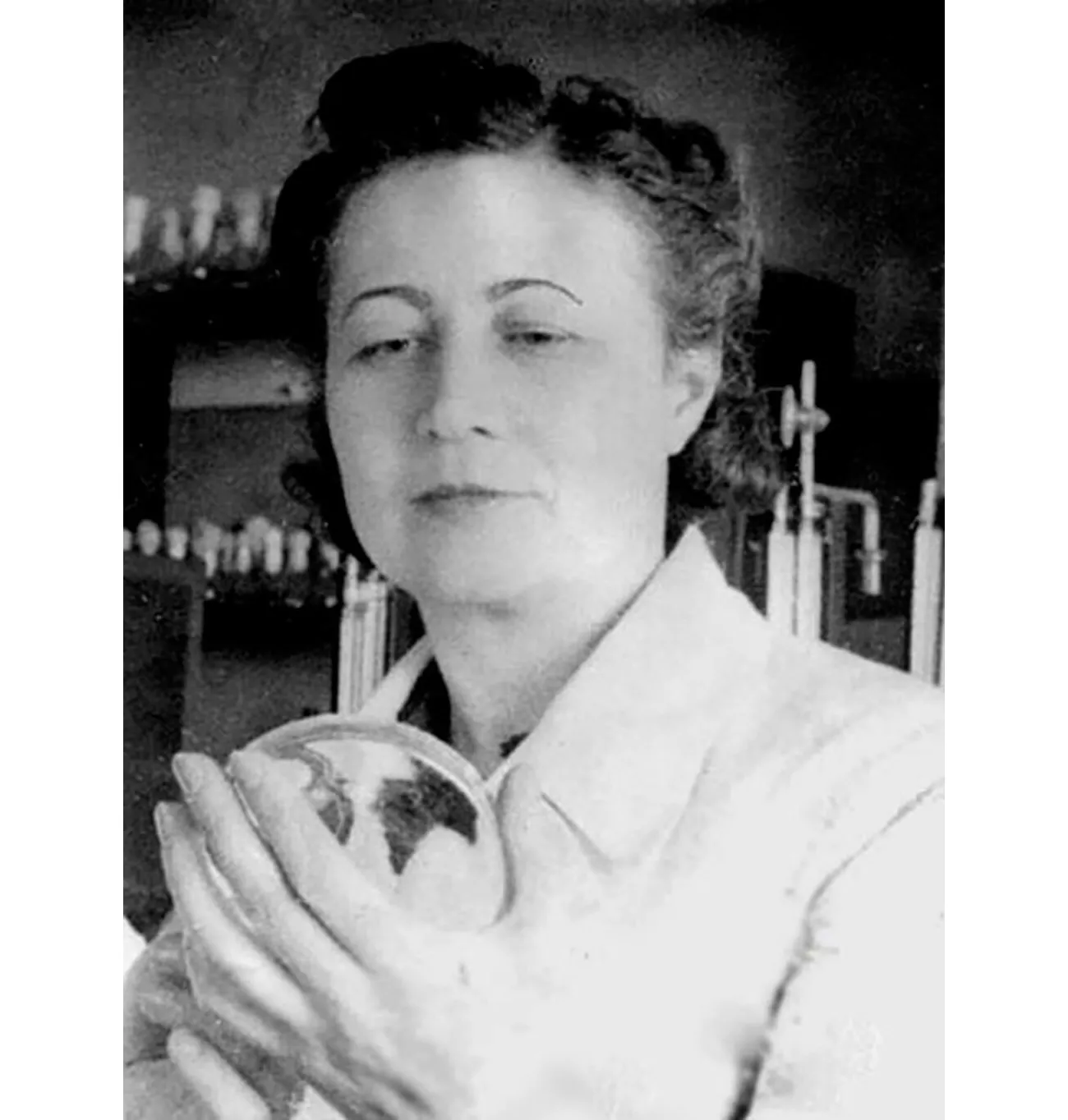 Портреты выдающихся женщин-ученых России: Софьи Ковалевской, Лины Штерн, Натальи Бехтеревой