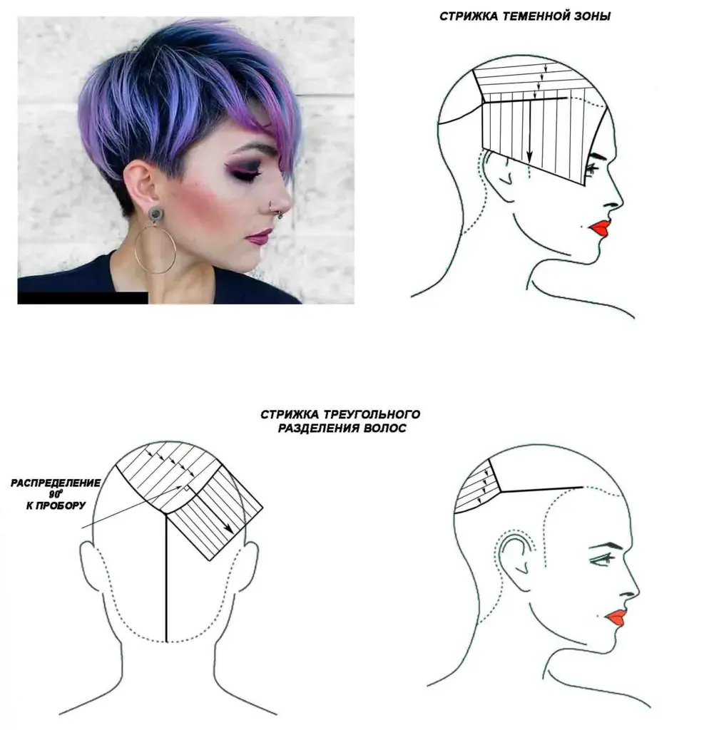 Блог Обучение парикмахерскому искусству — Женские стрижки обучение
