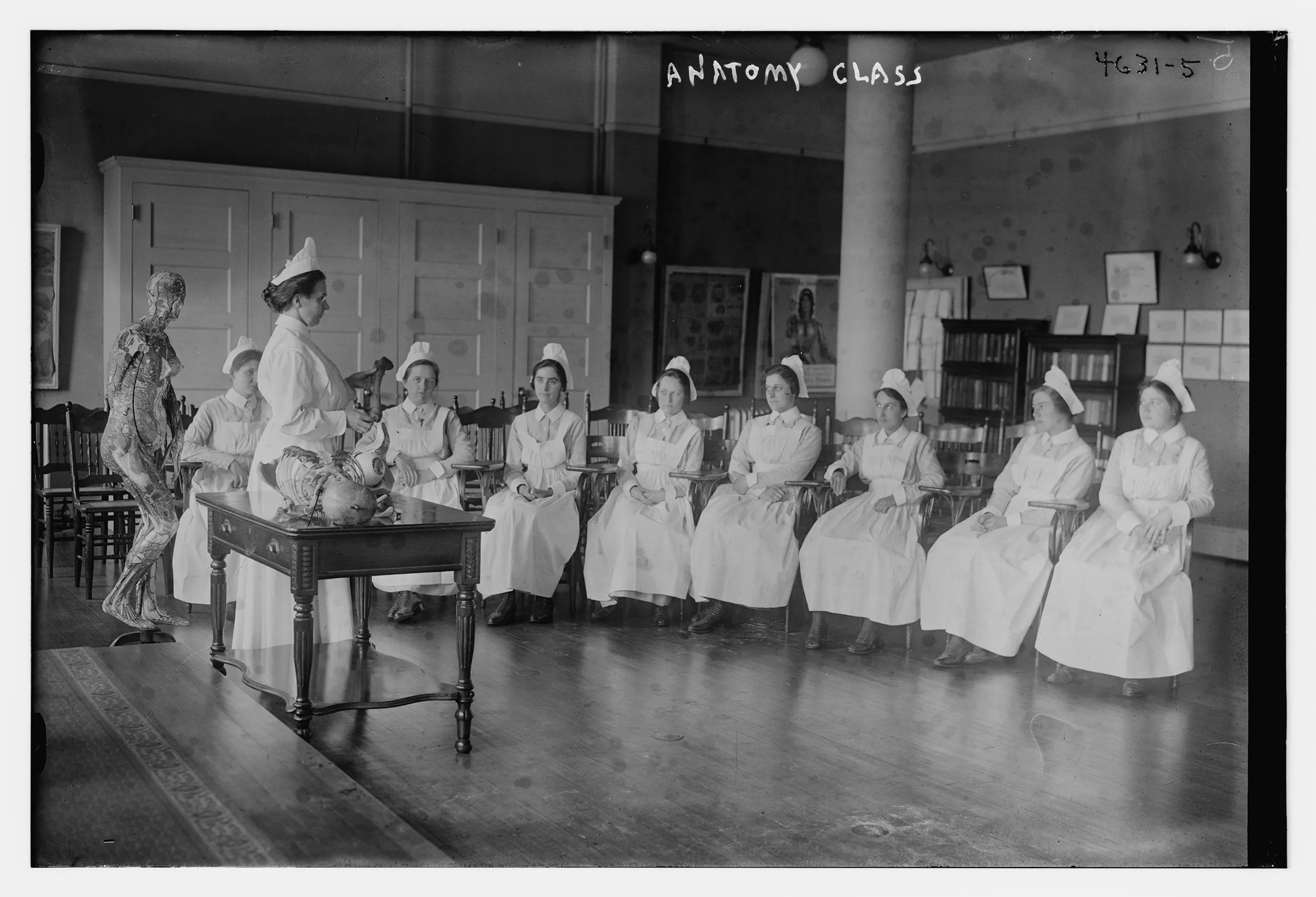 Визуальное объяснение: женское образование в России